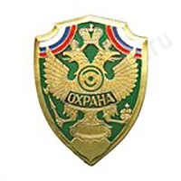 Нагрудный знак Охрана, орел на зеленом фоне