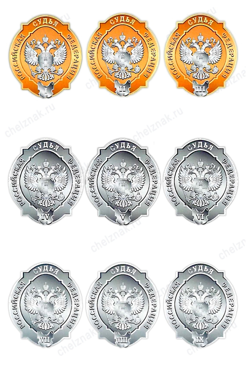 Знак квалификационного класса судей