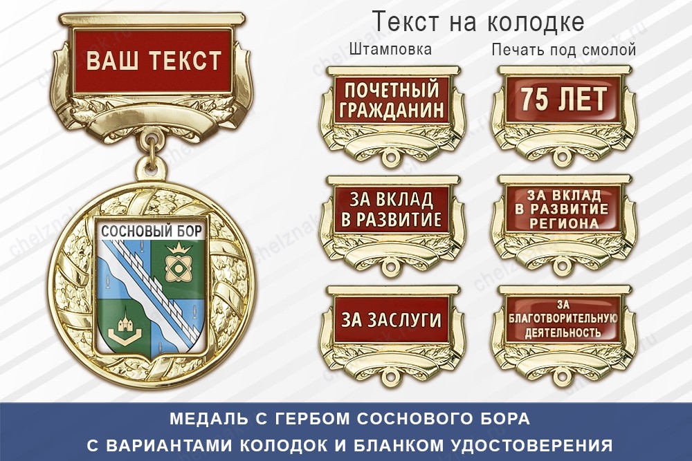 Медаль с гербом города Соснового Бора Ленинградской области с бланком удостоверения, дополнительное фото 1