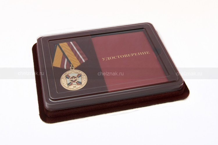 Наградной комплект к медали МО РФ «За трудовую доблесть» образец 2000 г.