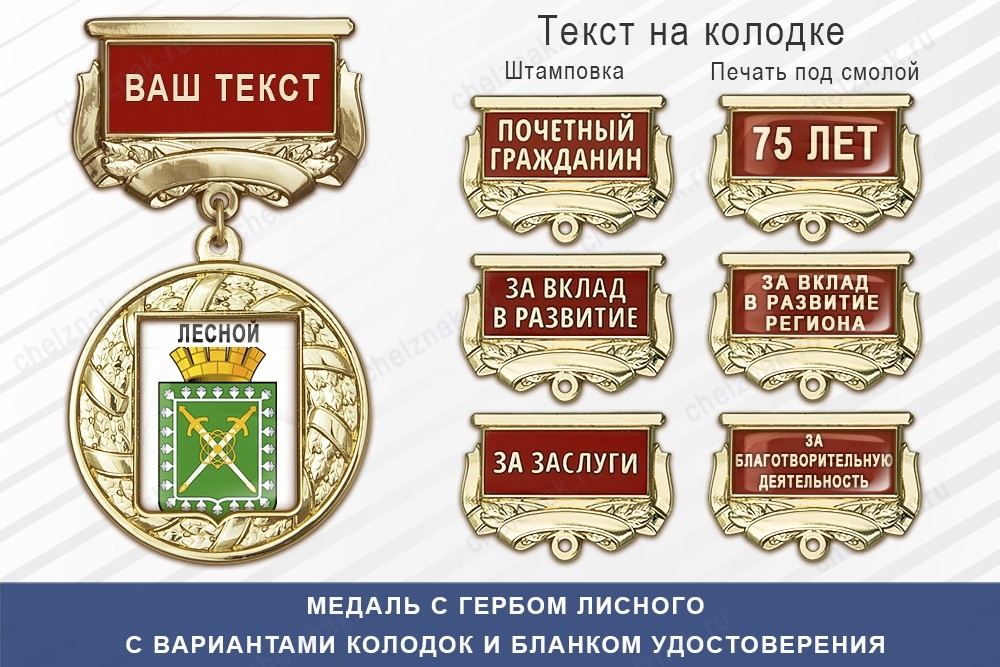 Медаль с гербом города Лесного Свердловской области с бланком удостоверения, дополнительное фото 1