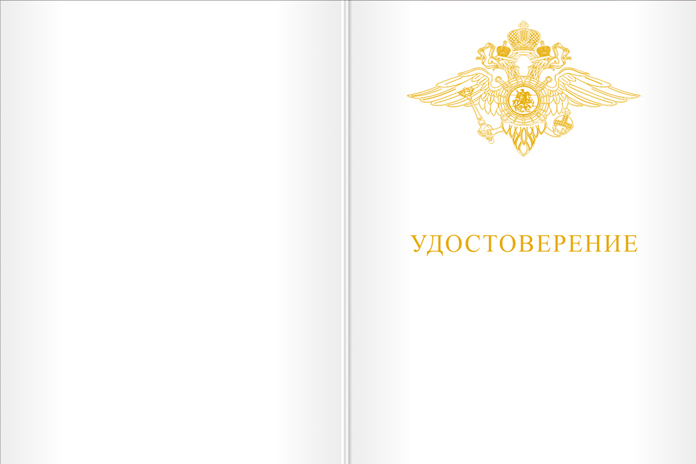 Бланк лицевая сторона Медаль МВД России «За отличие в службе» III степени с бланком удостоверения
