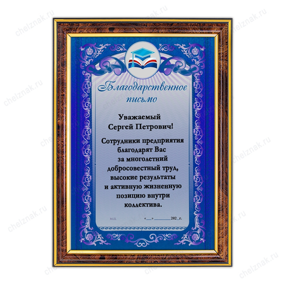 Благодарственное письмо, диплом, грамота в пластиковой рамке В008.1