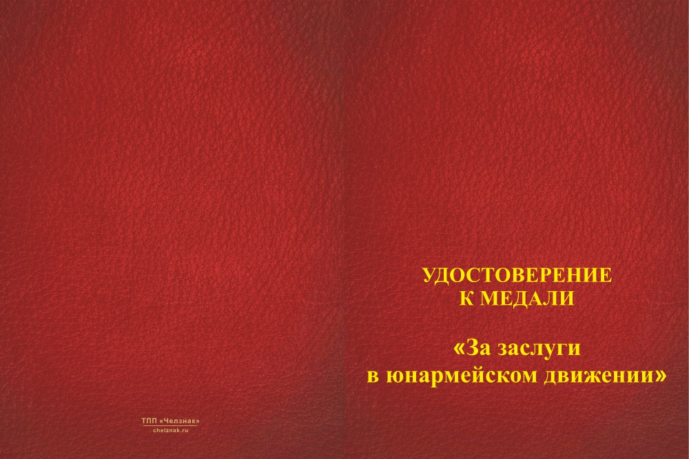 Бланк лицевая сторона Медаль «За заслуги в юнармейском движении» с индивидуальным реверсом
