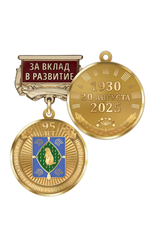 Медаль «95 лет Бижбулякскому району Республики Башкортостан. За вклад в развитие» с бланком удостоверения