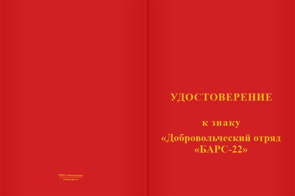 Бланк лицевая сторона Памятный знак «СВО. Барс 22» с бланком удостоверения