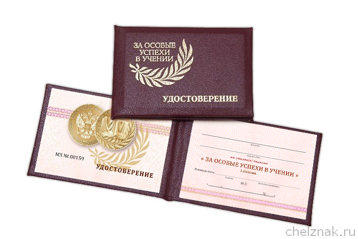 Лицевая сторона награды Бланк удостоверения к медали «За особые успехи в учении» 1 степени красный, обр. 2023 г.