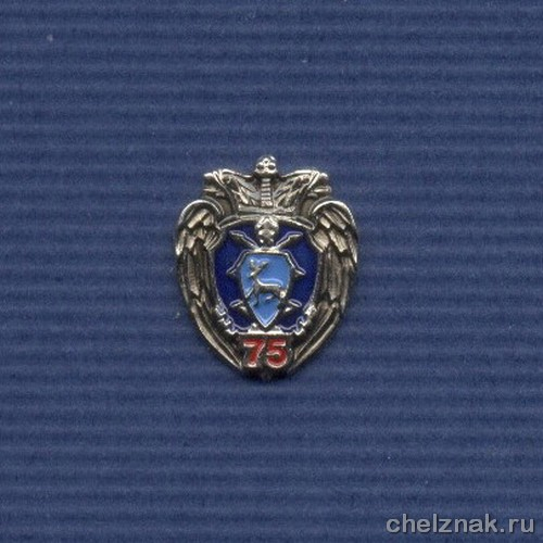 Знак «75 лет Правительственной связи в  Нижегородской области»