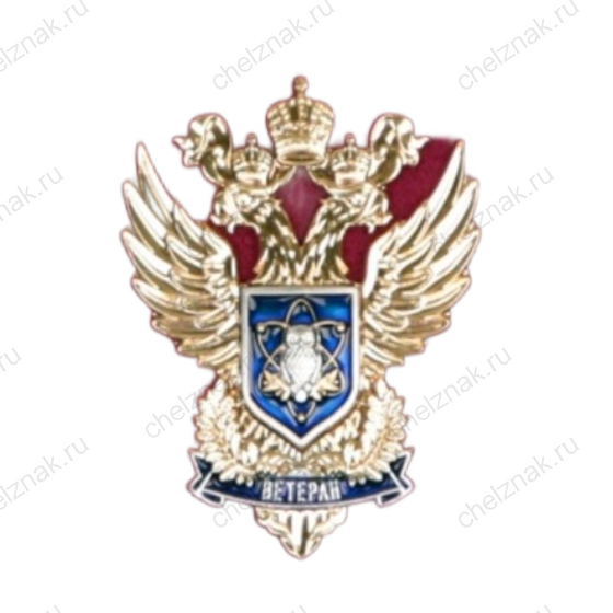 Нагрудный знак «Ветеран» Министерства науки и высшего образования Российской Федерации