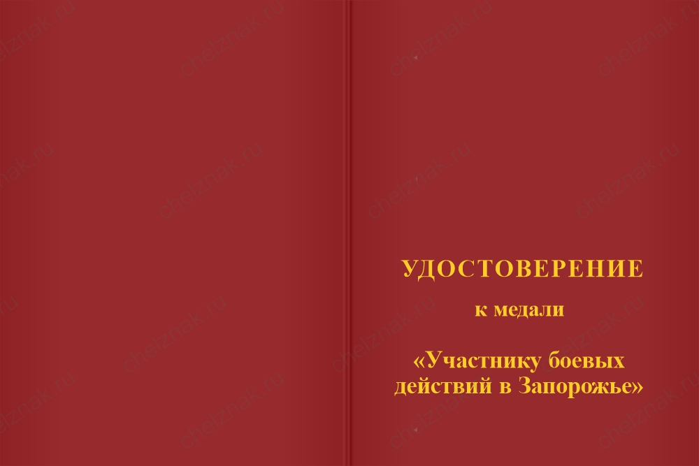 Бланк лицевая сторона Медаль «За участие в СВО. Работино - Вербовое 2023 - 2024» с бланком удостоверения
