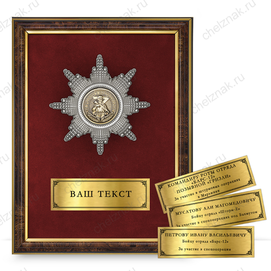 Лицевая сторона награды Наградное панно «За участие в спецоперации»