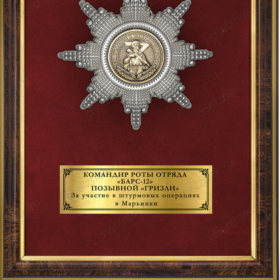 Обратная сторона награды Наградное панно «За участие в спецоперации»