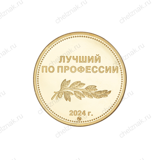 Реверс награды Настольная медаль «Лучший работник по профессии. Кировская область, 2024 год»