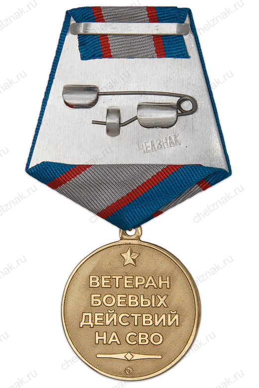 Реверс награды Медаль «Ветеран боевых действий СВО» с бланком удостоверения