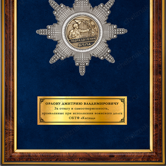 Обратная сторона награды Панно для награждения операторов подразделений БПЛА