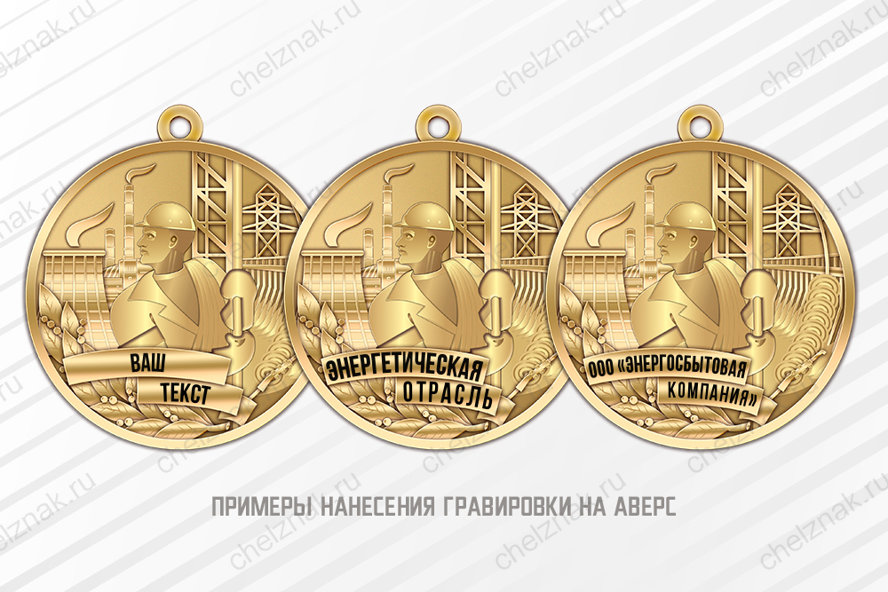 Медаль «Ветеран энергетики» с индивидуальным текстом с бланком удостоверения, дополнительное фото 1