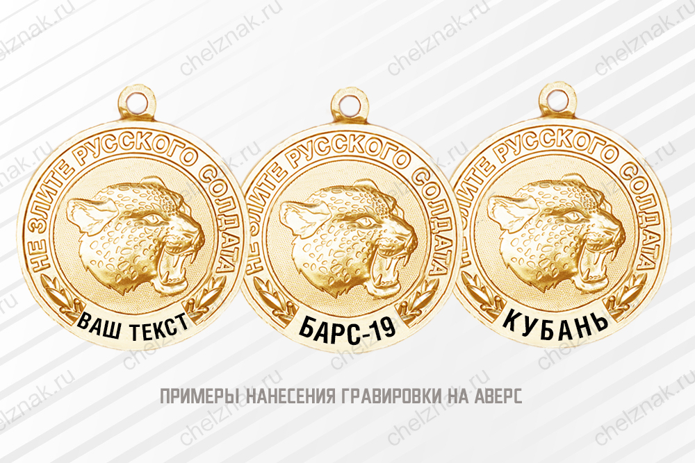 Медаль «Добровольческий отряд "БАРС"» с бланком удостоверения, дополнительное фото 1