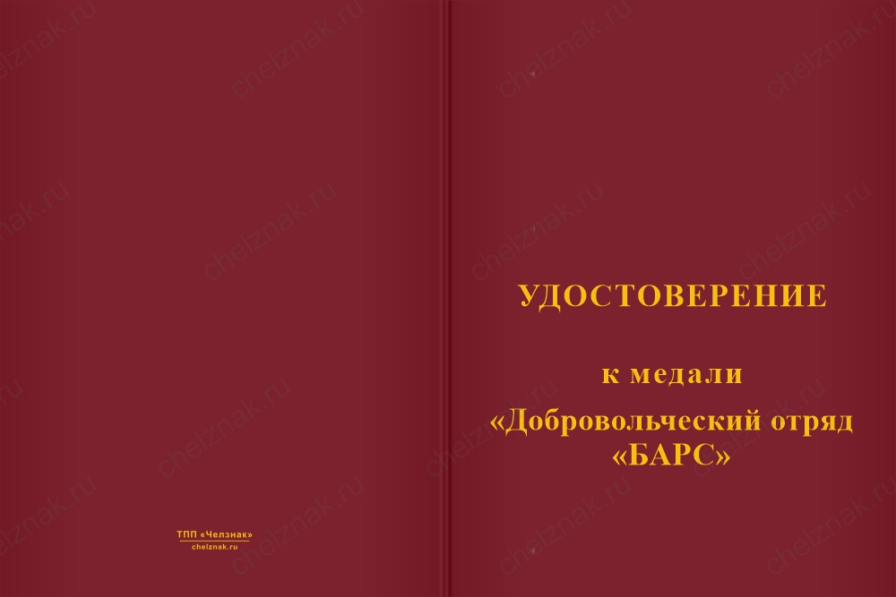 Бланк лицевая сторона Медаль «Добровольческий отряд "БАРС"» с бланком удостоверения