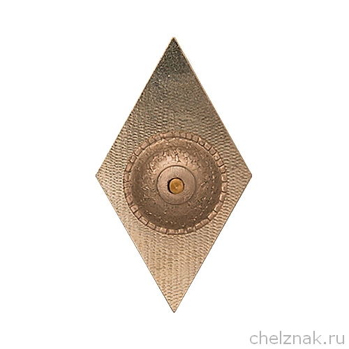 Реверс награды Нагрудный знак (ромб) «Об окончании ВУЗа ФСИН России»