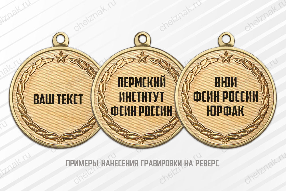 Медаль «Выпускнику ВУЗа ФСИН России» с бланком удостоверения, дополнительное фото 1