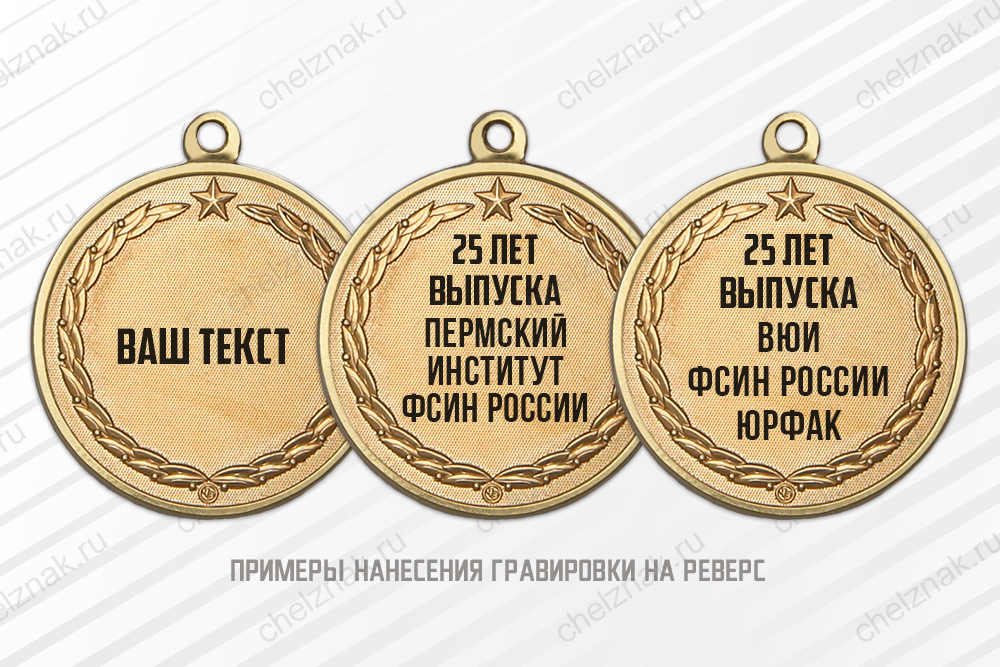Медаль «Юбилей ВУЗа ФСИН России» с бланком удостоверения, дополнительное фото 1