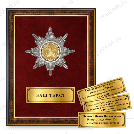 Лицевая сторона награды Панно с орденским знаком «За мужество, героизм и отвагу на СВО»