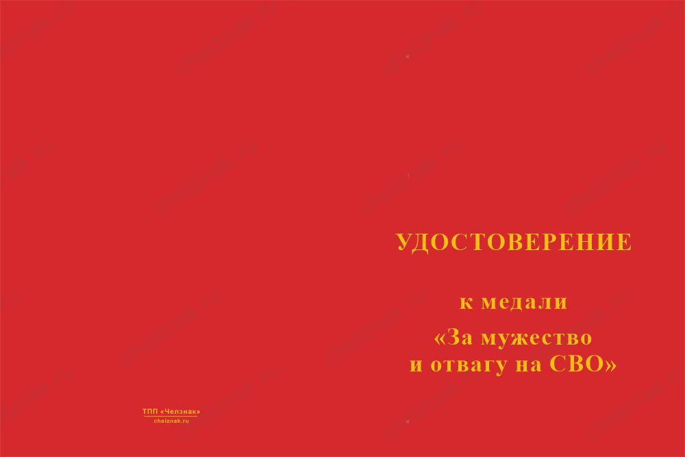 Бланк лицевая сторона Медаль «За мужество и отвагу на СВО» с бланком удостоверения