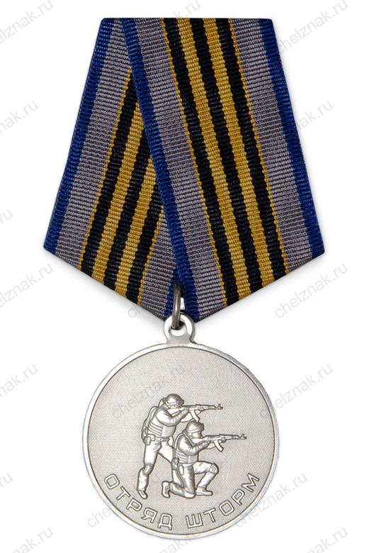 Медаль «Отряд "ШТОРМ"» с бланком удостоверения