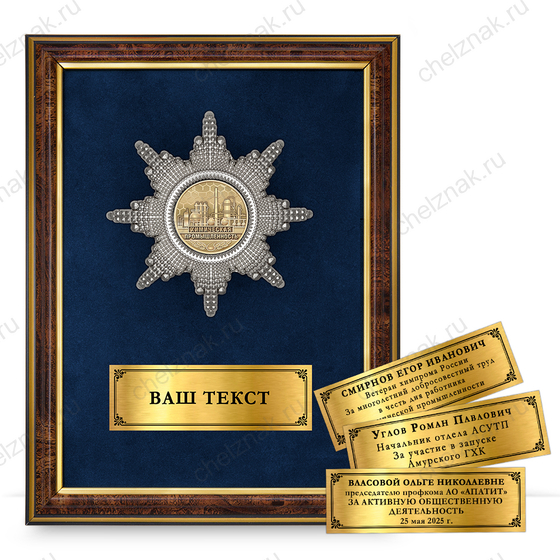 Лицевая сторона награды Наградное панно «За работу в химической промышленности»