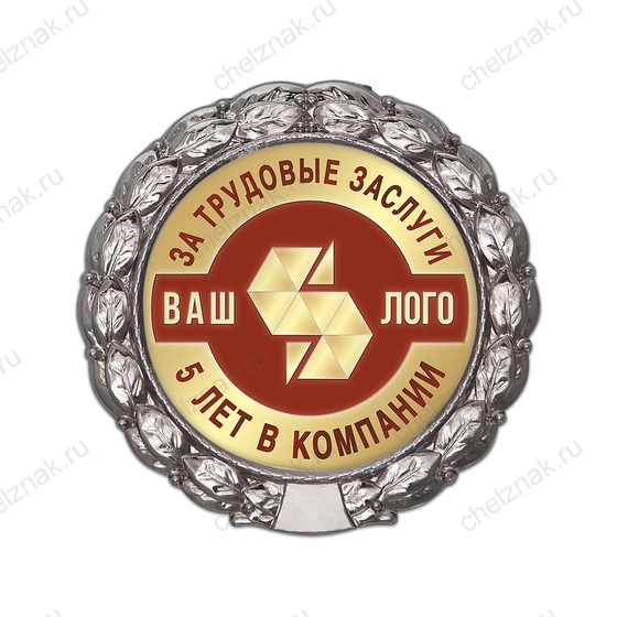 Лицевая сторона награды Знак «5 лет в компании. За трудовые заслуги»