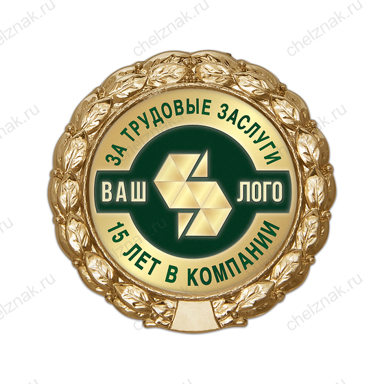Лицевая сторона награды Знак «15 лет в компании. За трудовые заслуги»