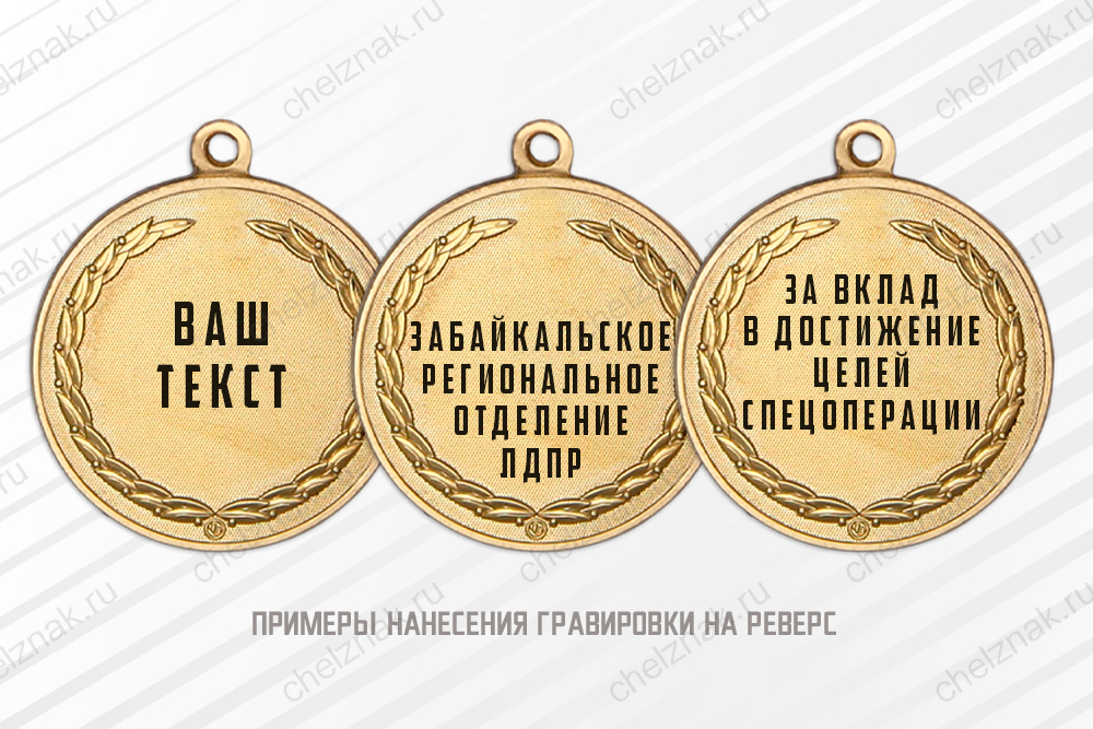 Медаль «За добросовестный труд в условиях СВО» с бланком удостоверения, дополнительное фото 1