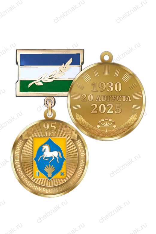 Медаль «95 лет Илишевскому району Республики Башкортостан» с бланком удостоверения