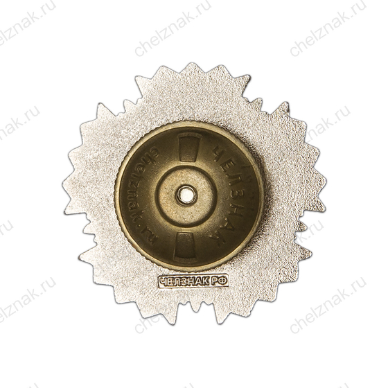 Реверс награды Нагрудный знак «ДФ МО РФ "БАРС-33" им. В.Ф. Маргелова»