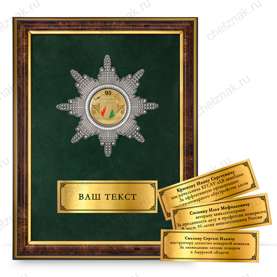 Лицевая сторона награды Наградное панно «95 лет АвиаЛесоОхране»