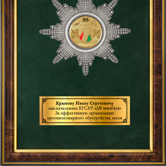 Обратная сторона награды Наградное панно «95 лет АвиаЛесоОхране»