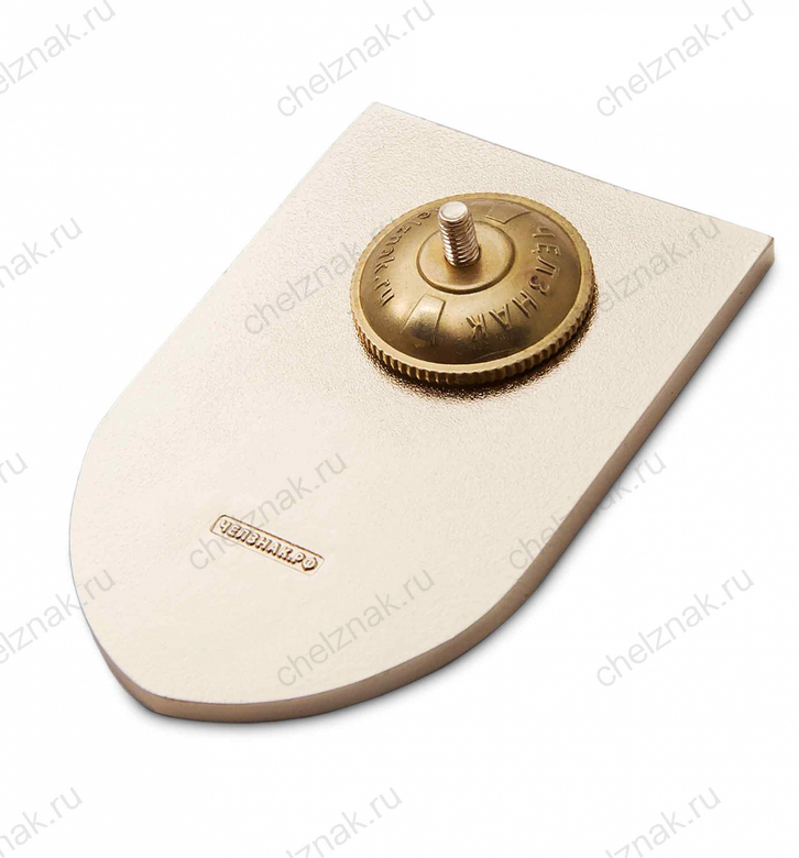 Реверс награды Знак «ЧВТКУ выпуск 1998», копия (спецзаказ)