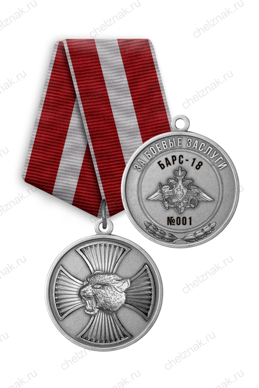 Медаль «Барс - 18. За боевые заслуги» 2 степени