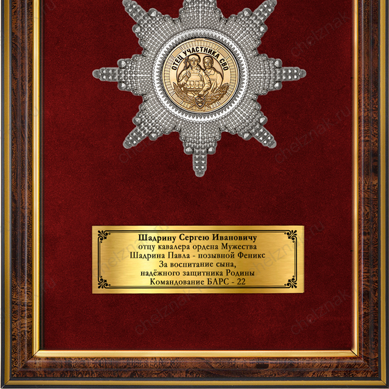 Обратная сторона награды Панно с орденским знаком «Отцу участника СВО»
