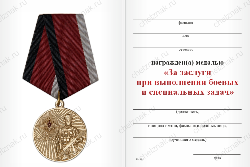 Бланк оборотная сторона Медаль «За заслуги при выполнении боевых и специальных задач» с бланком удостоверения