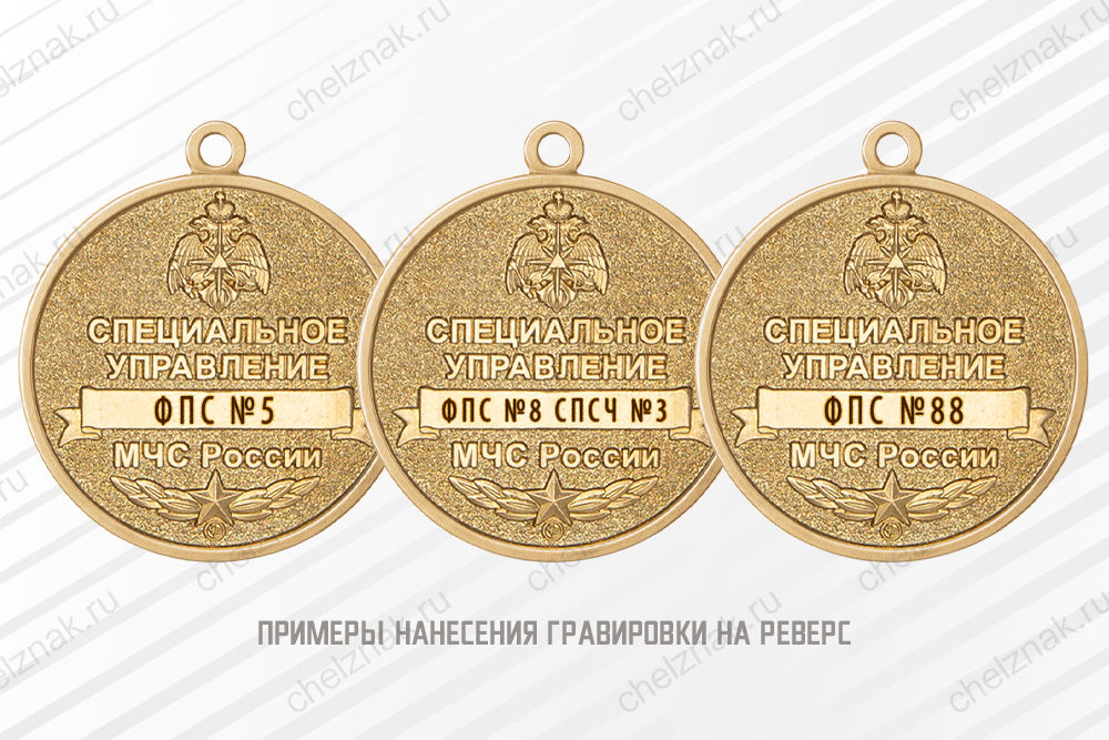 Медаль «Ветеран специальных подразделений ФПС МЧС России» с бланком удостоверения, дополнительное фото 1