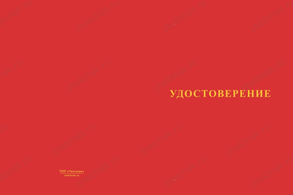 Бланк лицевая сторона Медаль «Отцу (родственнику) участника СВО» с бланком удостоверения