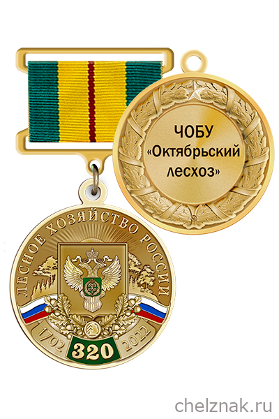 Реверс награды Медаль «320 лет лесному хозяйству России» с бланком удостоверения