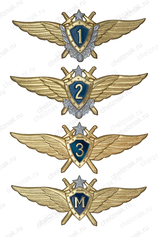 Знак классности ВВС нового образца