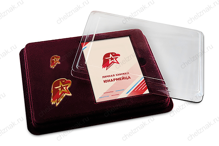 Лицевая сторона награды Наградной комплект юнармейца