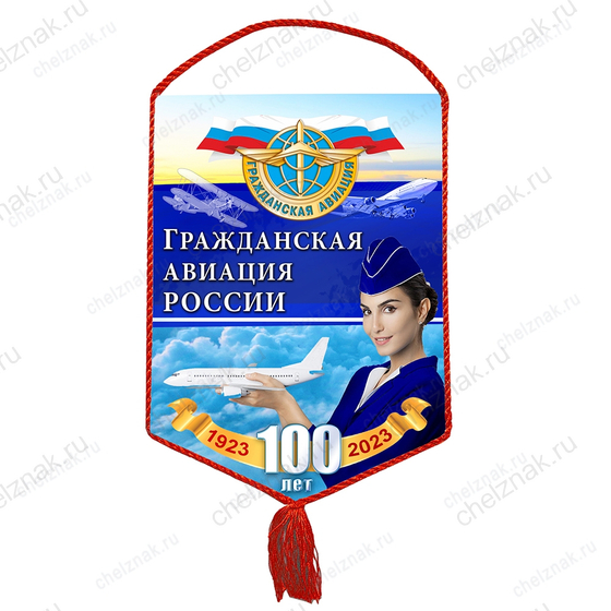 Вымпел «100 лет гражданскому воздушному флоту»