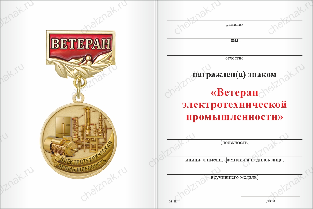 Бланк оборотная сторона Медаль «Ветеран электротехнической промышленности» с бланком удостоверения
