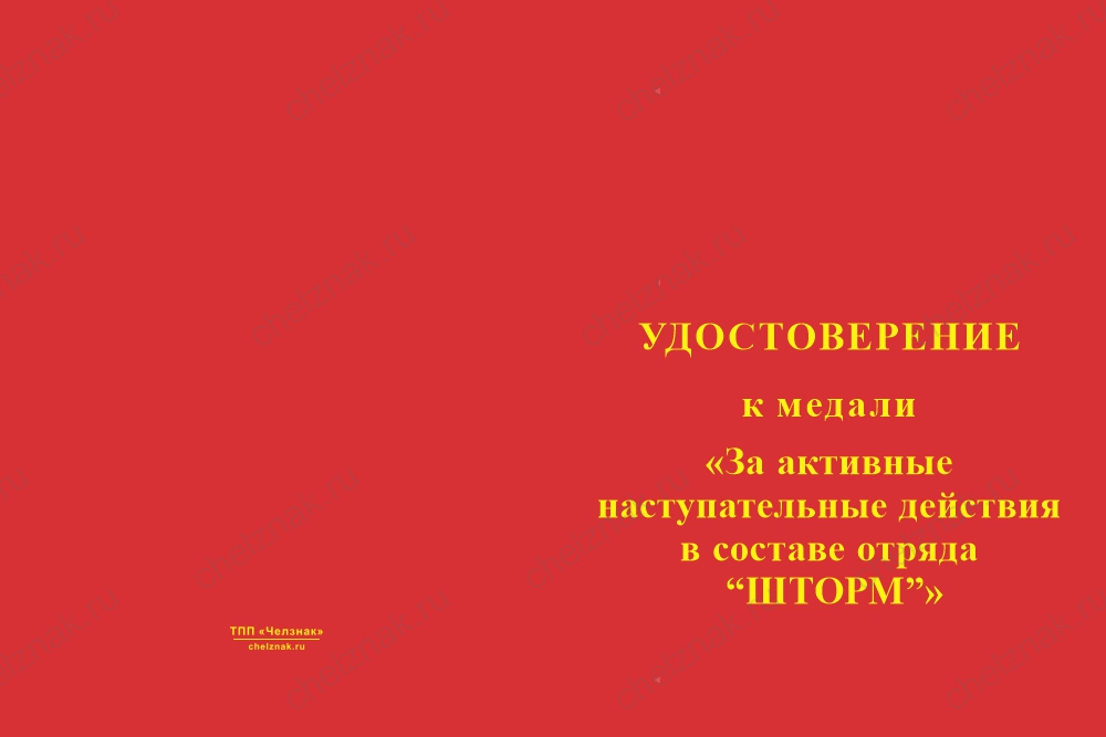Лицевая сторона награды Медаль «Отряд "Шторм" 5-й гв. ОМСБр» с бланком удостоверения