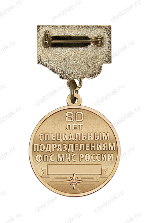 Реверс награды Знак «Ветеран специальных подразделений ФПС МЧС РФ» с бланком удостоверения