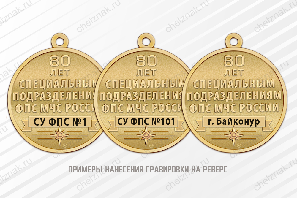 Знак «Ветеран специальных подразделений ФПС МЧС РФ» с бланком удостоверения, дополнительное фото 1